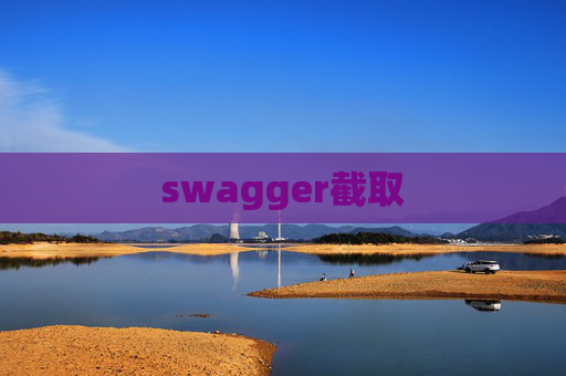 swagger截取